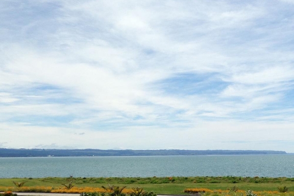 Hotel Harbour View Seaside Accommodation Napier (Westshore)